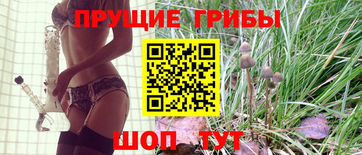 Ртищево  Псилоцибиновые грибы прущие грибы  Вход с VPN 